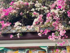 -深圳国际园林花卉博览园