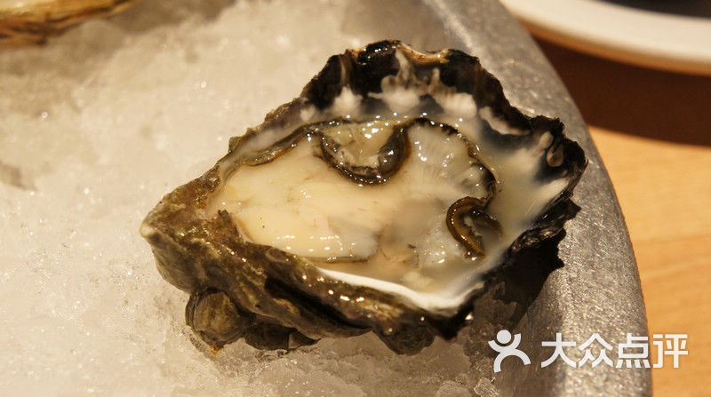 oyster boy