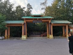 -北海金海湾红树林生态旅游区