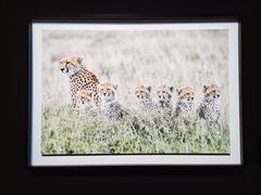 -罗红摄影艺术馆