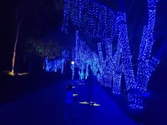 -天目湖水世界