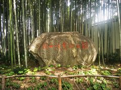 -上海醉白池公园
