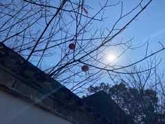 -慈城古县城景区