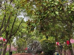 -南汇桃花村