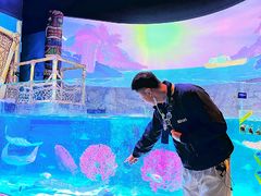 -沈阳海洋探索中心