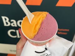 莓果与柑橘-Dip in Gelato(富民路店)