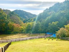 -神户市立六甲山牧场