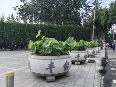 -丰台花园