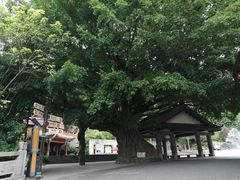 -神光山国家森林公园