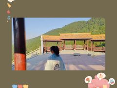 -铁山坪森林公园