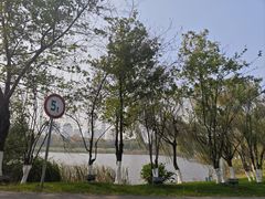 -九里河湿地公园