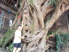 -老七钵钵鸡
