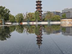 -龙华素斋(龙华路店)