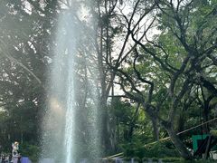 -九龙公园