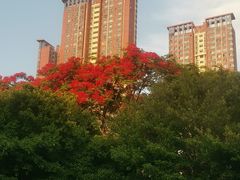 -人民公园(罗湖区)