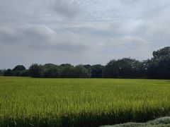 -良渚文化村