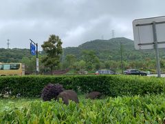 -普陀长途客运中心