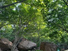 -山叶口景区