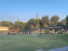 -洪湖家庭农场·团建·露营·会议