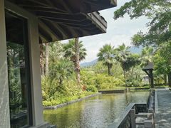 -广州从化都喜泰丽度假酒店温泉