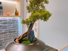 -小和庆·知味(首铸万科店)