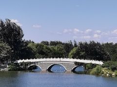 -大兴滨河森林公园