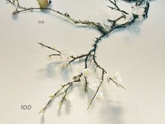 -上海科技馆(地铁站)