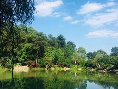 -铁山坪森林公园