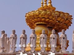 -上海东林寺(金山区)