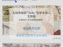 -乌菲兹美术馆