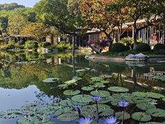 -云溪植物园
