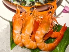 -Oyster Talks 四度蚝法餐厅