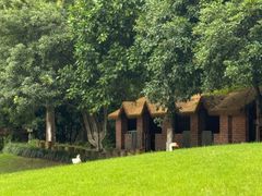 -硅谷蒙学幼儿园