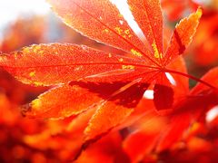 景点-西安汉城湖景区