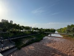 -东湖公园