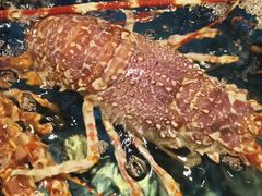 -海景壹号大酒店(滨湖店)