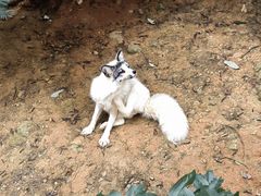 -云南野生动物园