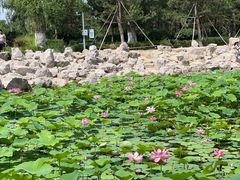 -红山国家森林公园