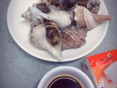 -小海丁