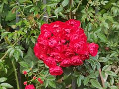 -人民公园(罗湖区)