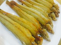 -瑞记湛江鸡饭店·粤西第一鸡(粤垦店)