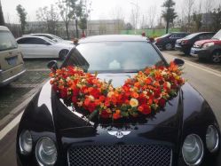 -蚂蚁婚车
