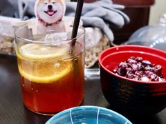 柴犬团子-逗柴咖啡屋·狗咖猫咖宠物桌游