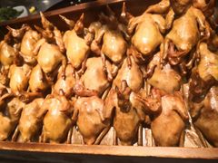 -燕郊烧鸽子(广安路店)