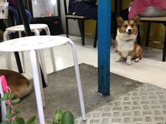 -小梁哥云吞面(黄贝岭店)