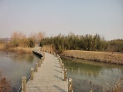 -淇河国家湿地公园