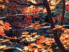 -本溪老边沟风景区