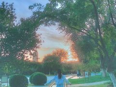 -永定河休闲森林公园