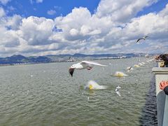 -海埂大坝