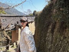 -杨家堂村